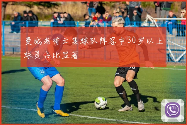 曼城老将云集球队阵容中30岁以上球员占比显著