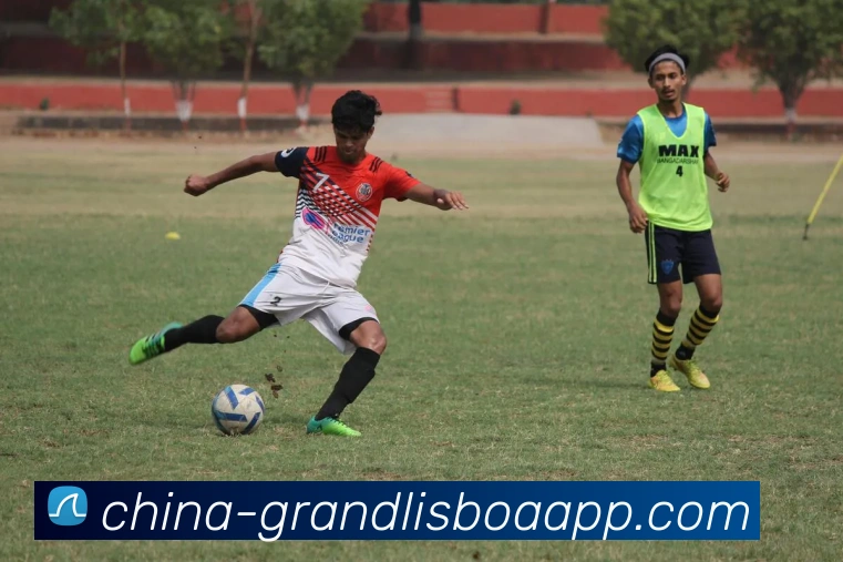 新葡京娱乐APP 封面图